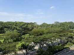 Blk 478C Valley Spring @ Yishun (Yishun), HDB 4 Rooms #497307131